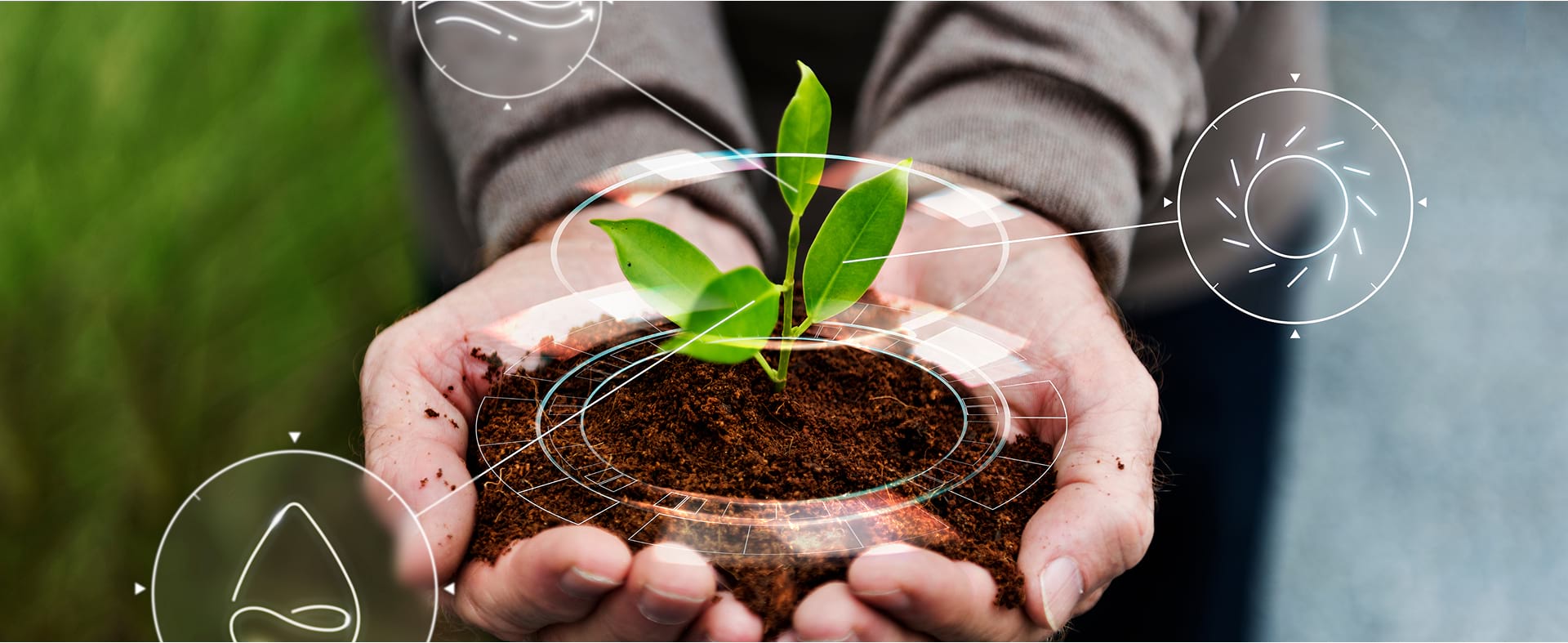 sustentabilidade